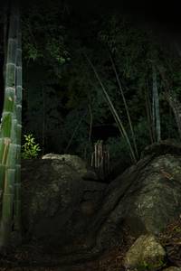 BIB: 
                            <button type="button" onclick="openModal(18491555)" class="btn btn-primary btn-sm float-right btn-popup" data-toggle="modal" data-target=".modal-high-quality">
                        <i class="fas fa-shopping-cart"></i> Add to Cart
                    </button>
                                            <button type="button" onclick="isThisMe(18491555, true)" class="btn btn-success btn-sm float-right btn-popup btn-isme hidden" data-toggle="tooltip" data-placement="bottom" title="นี่คือรูปของคุณใช่ไหม คลิกที่นี่เพื่อเอาเข้าอัลบั้ม">
                        <i class="fas fa-plus"></i> Add to album
                    </button>
                    <button type="button" onclick="isThisMe(18491555, false)" class="btn btn-warning btn-sm float-right btn-popup btn-isnotme hidden">
                        <i class="fas fa-ban"></i> Remove from album
                    </button>