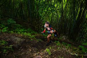 BIB: 
                            <button type="button" onclick="openModal(18582701)" class="btn btn-primary btn-sm float-right btn-popup" data-toggle="modal" data-target=".modal-high-quality">
                        <i class="fas fa-shopping-cart"></i> Add to Cart
                    </button>
                                            <button type="button" onclick="isThisMe(18582701, true)" class="btn btn-success btn-sm float-right btn-popup btn-isme hidden" data-toggle="tooltip" data-placement="bottom" title="นี่คือรูปของคุณใช่ไหม คลิกที่นี่เพื่อเอาเข้าอัลบั้ม">
                        <i class="fas fa-plus"></i> Add to album
                    </button>
                    <button type="button" onclick="isThisMe(18582701, false)" class="btn btn-warning btn-sm float-right btn-popup btn-isnotme hidden">
                        <i class="fas fa-ban"></i> Remove from album
                    </button>