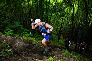 BIB: 
                            <button type="button" onclick="openModal(18593495)" class="btn btn-primary btn-sm float-right btn-popup" data-toggle="modal" data-target=".modal-high-quality">
                        <i class="fas fa-shopping-cart"></i> Add to Cart
                    </button>
                                            <button type="button" onclick="isThisMe(18593495, true)" class="btn btn-success btn-sm float-right btn-popup btn-isme hidden" data-toggle="tooltip" data-placement="bottom" title="นี่คือรูปของคุณใช่ไหม คลิกที่นี่เพื่อเอาเข้าอัลบั้ม">
                        <i class="fas fa-plus"></i> Add to album
                    </button>
                    <button type="button" onclick="isThisMe(18593495, false)" class="btn btn-warning btn-sm float-right btn-popup btn-isnotme hidden">
                        <i class="fas fa-ban"></i> Remove from album
                    </button>