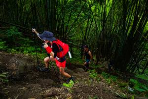 BIB: 
                            <button type="button" onclick="openModal(18593562)" class="btn btn-primary btn-sm float-right btn-popup" data-toggle="modal" data-target=".modal-high-quality">
                        <i class="fas fa-shopping-cart"></i> Add to Cart
                    </button>
                                            <button type="button" onclick="isThisMe(18593562, true)" class="btn btn-success btn-sm float-right btn-popup btn-isme hidden" data-toggle="tooltip" data-placement="bottom" title="นี่คือรูปของคุณใช่ไหม คลิกที่นี่เพื่อเอาเข้าอัลบั้ม">
                        <i class="fas fa-plus"></i> Add to album
                    </button>
                    <button type="button" onclick="isThisMe(18593562, false)" class="btn btn-warning btn-sm float-right btn-popup btn-isnotme hidden">
                        <i class="fas fa-ban"></i> Remove from album
                    </button>