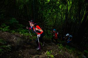 BIB: 
                            <button type="button" onclick="openModal(18589433)" class="btn btn-primary btn-sm float-right btn-popup" data-toggle="modal" data-target=".modal-high-quality">
                        <i class="fas fa-shopping-cart"></i> Add to Cart
                    </button>
                                            <button type="button" onclick="isThisMe(18589433, true)" class="btn btn-success btn-sm float-right btn-popup btn-isme hidden" data-toggle="tooltip" data-placement="bottom" title="นี่คือรูปของคุณใช่ไหม คลิกที่นี่เพื่อเอาเข้าอัลบั้ม">
                        <i class="fas fa-plus"></i> Add to album
                    </button>
                    <button type="button" onclick="isThisMe(18589433, false)" class="btn btn-warning btn-sm float-right btn-popup btn-isnotme hidden">
                        <i class="fas fa-ban"></i> Remove from album
                    </button>