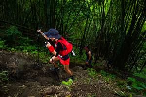 BIB: 
                            <button type="button" onclick="openModal(18593563)" class="btn btn-primary btn-sm float-right btn-popup" data-toggle="modal" data-target=".modal-high-quality">
                        <i class="fas fa-shopping-cart"></i> Add to Cart
                    </button>
                                            <button type="button" onclick="isThisMe(18593563, true)" class="btn btn-success btn-sm float-right btn-popup btn-isme hidden" data-toggle="tooltip" data-placement="bottom" title="นี่คือรูปของคุณใช่ไหม คลิกที่นี่เพื่อเอาเข้าอัลบั้ม">
                        <i class="fas fa-plus"></i> Add to album
                    </button>
                    <button type="button" onclick="isThisMe(18593563, false)" class="btn btn-warning btn-sm float-right btn-popup btn-isnotme hidden">
                        <i class="fas fa-ban"></i> Remove from album
                    </button>