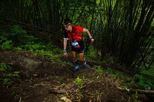 BIB: 
                            <button type="button" onclick="openModal(18582939)" class="btn btn-primary btn-sm float-right btn-popup" data-toggle="modal" data-target=".modal-high-quality">
                        <i class="fas fa-shopping-cart"></i> Add to Cart
                    </button>
                                            <button type="button" onclick="isThisMe(18582939, true)" class="btn btn-success btn-sm float-right btn-popup btn-isme hidden" data-toggle="tooltip" data-placement="bottom" title="นี่คือรูปของคุณใช่ไหม คลิกที่นี่เพื่อเอาเข้าอัลบั้ม">
                        <i class="fas fa-plus"></i> Add to album
                    </button>
                    <button type="button" onclick="isThisMe(18582939, false)" class="btn btn-warning btn-sm float-right btn-popup btn-isnotme hidden">
                        <i class="fas fa-ban"></i> Remove from album
                    </button>