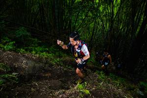 BIB: 
                            <button type="button" onclick="openModal(18589395)" class="btn btn-primary btn-sm float-right btn-popup" data-toggle="modal" data-target=".modal-high-quality">
                        <i class="fas fa-shopping-cart"></i> Add to Cart
                    </button>
                                            <button type="button" onclick="isThisMe(18589395, true)" class="btn btn-success btn-sm float-right btn-popup btn-isme hidden" data-toggle="tooltip" data-placement="bottom" title="นี่คือรูปของคุณใช่ไหม คลิกที่นี่เพื่อเอาเข้าอัลบั้ม">
                        <i class="fas fa-plus"></i> Add to album
                    </button>
                    <button type="button" onclick="isThisMe(18589395, false)" class="btn btn-warning btn-sm float-right btn-popup btn-isnotme hidden">
                        <i class="fas fa-ban"></i> Remove from album
                    </button>