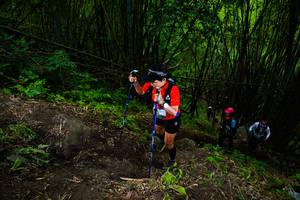 BIB: 
                            <button type="button" onclick="openModal(18593135)" class="btn btn-primary btn-sm float-right btn-popup" data-toggle="modal" data-target=".modal-high-quality">
                        <i class="fas fa-shopping-cart"></i> Add to Cart
                    </button>
                                            <button type="button" onclick="isThisMe(18593135, true)" class="btn btn-success btn-sm float-right btn-popup btn-isme hidden" data-toggle="tooltip" data-placement="bottom" title="นี่คือรูปของคุณใช่ไหม คลิกที่นี่เพื่อเอาเข้าอัลบั้ม">
                        <i class="fas fa-plus"></i> Add to album
                    </button>
                    <button type="button" onclick="isThisMe(18593135, false)" class="btn btn-warning btn-sm float-right btn-popup btn-isnotme hidden">
                        <i class="fas fa-ban"></i> Remove from album
                    </button>