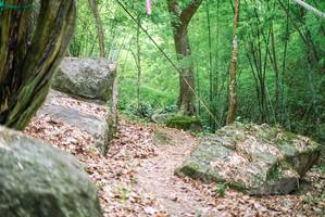 BIB: 
                            <button type="button" onclick="openModal(18517264)" class="btn btn-primary btn-sm float-right btn-popup" data-toggle="modal" data-target=".modal-high-quality">
                        <i class="fas fa-shopping-cart"></i> Add to Cart
                    </button>
                                            <button type="button" onclick="isThisMe(18517264, true)" class="btn btn-success btn-sm float-right btn-popup btn-isme hidden" data-toggle="tooltip" data-placement="bottom" title="นี่คือรูปของคุณใช่ไหม คลิกที่นี่เพื่อเอาเข้าอัลบั้ม">
                        <i class="fas fa-plus"></i> Add to album
                    </button>
                    <button type="button" onclick="isThisMe(18517264, false)" class="btn btn-warning btn-sm float-right btn-popup btn-isnotme hidden">
                        <i class="fas fa-ban"></i> Remove from album
                    </button>