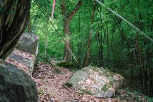 BIB: 
                            <button type="button" onclick="openModal(18517165)" class="btn btn-primary btn-sm float-right btn-popup" data-toggle="modal" data-target=".modal-high-quality">
                        <i class="fas fa-shopping-cart"></i> Add to Cart
                    </button>
                                            <button type="button" onclick="isThisMe(18517165, true)" class="btn btn-success btn-sm float-right btn-popup btn-isme hidden" data-toggle="tooltip" data-placement="bottom" title="นี่คือรูปของคุณใช่ไหม คลิกที่นี่เพื่อเอาเข้าอัลบั้ม">
                        <i class="fas fa-plus"></i> Add to album
                    </button>
                    <button type="button" onclick="isThisMe(18517165, false)" class="btn btn-warning btn-sm float-right btn-popup btn-isnotme hidden">
                        <i class="fas fa-ban"></i> Remove from album
                    </button>