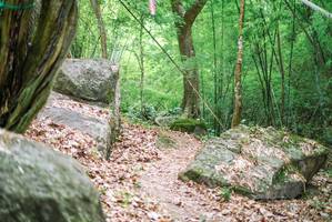 BIB: 
                            <button type="button" onclick="openModal(18517262)" class="btn btn-primary btn-sm float-right btn-popup" data-toggle="modal" data-target=".modal-high-quality">
                        <i class="fas fa-shopping-cart"></i> Add to Cart
                    </button>
                                            <button type="button" onclick="isThisMe(18517262, true)" class="btn btn-success btn-sm float-right btn-popup btn-isme hidden" data-toggle="tooltip" data-placement="bottom" title="นี่คือรูปของคุณใช่ไหม คลิกที่นี่เพื่อเอาเข้าอัลบั้ม">
                        <i class="fas fa-plus"></i> Add to album
                    </button>
                    <button type="button" onclick="isThisMe(18517262, false)" class="btn btn-warning btn-sm float-right btn-popup btn-isnotme hidden">
                        <i class="fas fa-ban"></i> Remove from album
                    </button>