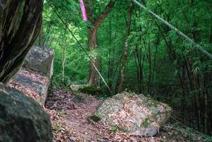 BIB: 
                            <button type="button" onclick="openModal(18517147)" class="btn btn-primary btn-sm float-right btn-popup" data-toggle="modal" data-target=".modal-high-quality">
                        <i class="fas fa-shopping-cart"></i> Add to Cart
                    </button>
                                            <button type="button" onclick="isThisMe(18517147, true)" class="btn btn-success btn-sm float-right btn-popup btn-isme hidden" data-toggle="tooltip" data-placement="bottom" title="นี่คือรูปของคุณใช่ไหม คลิกที่นี่เพื่อเอาเข้าอัลบั้ม">
                        <i class="fas fa-plus"></i> Add to album
                    </button>
                    <button type="button" onclick="isThisMe(18517147, false)" class="btn btn-warning btn-sm float-right btn-popup btn-isnotme hidden">
                        <i class="fas fa-ban"></i> Remove from album
                    </button>