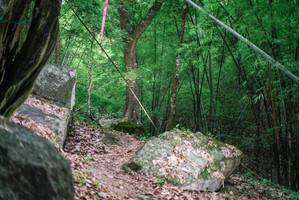 BIB: 
                            <button type="button" onclick="openModal(18517142)" class="btn btn-primary btn-sm float-right btn-popup" data-toggle="modal" data-target=".modal-high-quality">
                        <i class="fas fa-shopping-cart"></i> Add to Cart
                    </button>
                                            <button type="button" onclick="isThisMe(18517142, true)" class="btn btn-success btn-sm float-right btn-popup btn-isme hidden" data-toggle="tooltip" data-placement="bottom" title="นี่คือรูปของคุณใช่ไหม คลิกที่นี่เพื่อเอาเข้าอัลบั้ม">
                        <i class="fas fa-plus"></i> Add to album
                    </button>
                    <button type="button" onclick="isThisMe(18517142, false)" class="btn btn-warning btn-sm float-right btn-popup btn-isnotme hidden">
                        <i class="fas fa-ban"></i> Remove from album
                    </button>