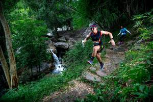 BIB: 
                            <button type="button" onclick="openModal(18618317)" class="btn btn-primary btn-sm float-right btn-popup" data-toggle="modal" data-target=".modal-high-quality">
                        <i class="fas fa-shopping-cart"></i> Add to Cart
                    </button>
                                            <button type="button" onclick="isThisMe(18618317, true)" class="btn btn-success btn-sm float-right btn-popup btn-isme hidden" data-toggle="tooltip" data-placement="bottom" title="นี่คือรูปของคุณใช่ไหม คลิกที่นี่เพื่อเอาเข้าอัลบั้ม">
                        <i class="fas fa-plus"></i> Add to album
                    </button>
                    <button type="button" onclick="isThisMe(18618317, false)" class="btn btn-warning btn-sm float-right btn-popup btn-isnotme hidden">
                        <i class="fas fa-ban"></i> Remove from album
                    </button>