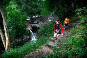 BIB: 
                            <button type="button" onclick="openModal(18618640)" class="btn btn-primary btn-sm float-right btn-popup" data-toggle="modal" data-target=".modal-high-quality">
                        <i class="fas fa-shopping-cart"></i> Add to Cart
                    </button>
                                            <button type="button" onclick="isThisMe(18618640, true)" class="btn btn-success btn-sm float-right btn-popup btn-isme hidden" data-toggle="tooltip" data-placement="bottom" title="นี่คือรูปของคุณใช่ไหม คลิกที่นี่เพื่อเอาเข้าอัลบั้ม">
                        <i class="fas fa-plus"></i> Add to album
                    </button>
                    <button type="button" onclick="isThisMe(18618640, false)" class="btn btn-warning btn-sm float-right btn-popup btn-isnotme hidden">
                        <i class="fas fa-ban"></i> Remove from album
                    </button>