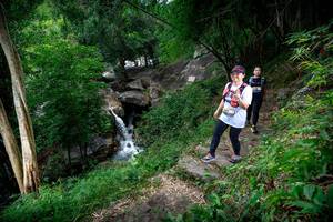 BIB: 
                            <button type="button" onclick="openModal(18620609)" class="btn btn-primary btn-sm float-right btn-popup" data-toggle="modal" data-target=".modal-high-quality">
                        <i class="fas fa-shopping-cart"></i> Add to Cart
                    </button>
                                            <button type="button" onclick="isThisMe(18620609, true)" class="btn btn-success btn-sm float-right btn-popup btn-isme hidden" data-toggle="tooltip" data-placement="bottom" title="นี่คือรูปของคุณใช่ไหม คลิกที่นี่เพื่อเอาเข้าอัลบั้ม">
                        <i class="fas fa-plus"></i> Add to album
                    </button>
                    <button type="button" onclick="isThisMe(18620609, false)" class="btn btn-warning btn-sm float-right btn-popup btn-isnotme hidden">
                        <i class="fas fa-ban"></i> Remove from album
                    </button>