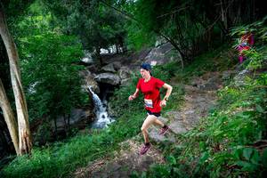 BIB: 
                            <button type="button" onclick="openModal(18617855)" class="btn btn-primary btn-sm float-right btn-popup" data-toggle="modal" data-target=".modal-high-quality">
                        <i class="fas fa-shopping-cart"></i> Add to Cart
                    </button>
                                            <button type="button" onclick="isThisMe(18617855, true)" class="btn btn-success btn-sm float-right btn-popup btn-isme hidden" data-toggle="tooltip" data-placement="bottom" title="นี่คือรูปของคุณใช่ไหม คลิกที่นี่เพื่อเอาเข้าอัลบั้ม">
                        <i class="fas fa-plus"></i> Add to album
                    </button>
                    <button type="button" onclick="isThisMe(18617855, false)" class="btn btn-warning btn-sm float-right btn-popup btn-isnotme hidden">
                        <i class="fas fa-ban"></i> Remove from album
                    </button>