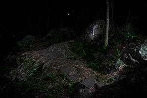 BIB: 
                            <button type="button" onclick="openModal(18542445)" class="btn btn-primary btn-sm float-right btn-popup" data-toggle="modal" data-target=".modal-high-quality">
                        <i class="fas fa-shopping-cart"></i> Add to Cart
                    </button>
                                            <button type="button" onclick="isThisMe(18542445, true)" class="btn btn-success btn-sm float-right btn-popup btn-isme hidden" data-toggle="tooltip" data-placement="bottom" title="นี่คือรูปของคุณใช่ไหม คลิกที่นี่เพื่อเอาเข้าอัลบั้ม">
                        <i class="fas fa-plus"></i> Add to album
                    </button>
                    <button type="button" onclick="isThisMe(18542445, false)" class="btn btn-warning btn-sm float-right btn-popup btn-isnotme hidden">
                        <i class="fas fa-ban"></i> Remove from album
                    </button>