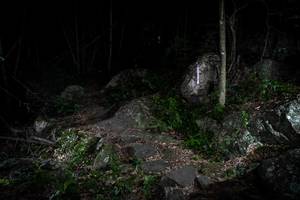 BIB: 
                            <button type="button" onclick="openModal(18543353)" class="btn btn-primary btn-sm float-right btn-popup" data-toggle="modal" data-target=".modal-high-quality">
                        <i class="fas fa-shopping-cart"></i> Add to Cart
                    </button>
                                            <button type="button" onclick="isThisMe(18543353, true)" class="btn btn-success btn-sm float-right btn-popup btn-isme hidden" data-toggle="tooltip" data-placement="bottom" title="นี่คือรูปของคุณใช่ไหม คลิกที่นี่เพื่อเอาเข้าอัลบั้ม">
                        <i class="fas fa-plus"></i> Add to album
                    </button>
                    <button type="button" onclick="isThisMe(18543353, false)" class="btn btn-warning btn-sm float-right btn-popup btn-isnotme hidden">
                        <i class="fas fa-ban"></i> Remove from album
                    </button>