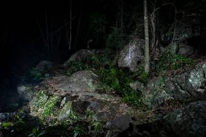 BIB: 
                            <button type="button" onclick="openModal(18544684)" class="btn btn-primary btn-sm float-right btn-popup" data-toggle="modal" data-target=".modal-high-quality">
                        <i class="fas fa-shopping-cart"></i> Add to Cart
                    </button>
                                            <button type="button" onclick="isThisMe(18544684, true)" class="btn btn-success btn-sm float-right btn-popup btn-isme hidden" data-toggle="tooltip" data-placement="bottom" title="นี่คือรูปของคุณใช่ไหม คลิกที่นี่เพื่อเอาเข้าอัลบั้ม">
                        <i class="fas fa-plus"></i> Add to album
                    </button>
                    <button type="button" onclick="isThisMe(18544684, false)" class="btn btn-warning btn-sm float-right btn-popup btn-isnotme hidden">
                        <i class="fas fa-ban"></i> Remove from album
                    </button>