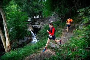 BIB: 
                            <button type="button" onclick="openModal(18618642)" class="btn btn-primary btn-sm float-right btn-popup" data-toggle="modal" data-target=".modal-high-quality">
                        <i class="fas fa-shopping-cart"></i> Add to Cart
                    </button>
                                            <button type="button" onclick="isThisMe(18618642, true)" class="btn btn-success btn-sm float-right btn-popup btn-isme hidden" data-toggle="tooltip" data-placement="bottom" title="นี่คือรูปของคุณใช่ไหม คลิกที่นี่เพื่อเอาเข้าอัลบั้ม">
                        <i class="fas fa-plus"></i> Add to album
                    </button>
                    <button type="button" onclick="isThisMe(18618642, false)" class="btn btn-warning btn-sm float-right btn-popup btn-isnotme hidden">
                        <i class="fas fa-ban"></i> Remove from album
                    </button>