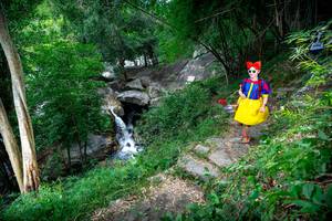 BIB: 
                            <button type="button" onclick="openModal(18610589)" class="btn btn-primary btn-sm float-right btn-popup" data-toggle="modal" data-target=".modal-high-quality">
                        <i class="fas fa-shopping-cart"></i> Add to Cart
                    </button>
                                            <button type="button" onclick="isThisMe(18610589, true)" class="btn btn-success btn-sm float-right btn-popup btn-isme hidden" data-toggle="tooltip" data-placement="bottom" title="นี่คือรูปของคุณใช่ไหม คลิกที่นี่เพื่อเอาเข้าอัลบั้ม">
                        <i class="fas fa-plus"></i> Add to album
                    </button>
                    <button type="button" onclick="isThisMe(18610589, false)" class="btn btn-warning btn-sm float-right btn-popup btn-isnotme hidden">
                        <i class="fas fa-ban"></i> Remove from album
                    </button>