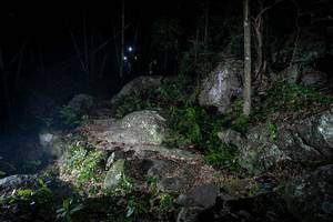 BIB: 
                            <button type="button" onclick="openModal(18544624)" class="btn btn-primary btn-sm float-right btn-popup" data-toggle="modal" data-target=".modal-high-quality">
                        <i class="fas fa-shopping-cart"></i> Add to Cart
                    </button>
                                            <button type="button" onclick="isThisMe(18544624, true)" class="btn btn-success btn-sm float-right btn-popup btn-isme hidden" data-toggle="tooltip" data-placement="bottom" title="นี่คือรูปของคุณใช่ไหม คลิกที่นี่เพื่อเอาเข้าอัลบั้ม">
                        <i class="fas fa-plus"></i> Add to album
                    </button>
                    <button type="button" onclick="isThisMe(18544624, false)" class="btn btn-warning btn-sm float-right btn-popup btn-isnotme hidden">
                        <i class="fas fa-ban"></i> Remove from album
                    </button>