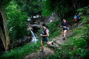 BIB: 
                            <button type="button" onclick="openModal(18618303)" class="btn btn-primary btn-sm float-right btn-popup" data-toggle="modal" data-target=".modal-high-quality">
                        <i class="fas fa-shopping-cart"></i> Add to Cart
                    </button>
                                            <button type="button" onclick="isThisMe(18618303, true)" class="btn btn-success btn-sm float-right btn-popup btn-isme hidden" data-toggle="tooltip" data-placement="bottom" title="นี่คือรูปของคุณใช่ไหม คลิกที่นี่เพื่อเอาเข้าอัลบั้ม">
                        <i class="fas fa-plus"></i> Add to album
                    </button>
                    <button type="button" onclick="isThisMe(18618303, false)" class="btn btn-warning btn-sm float-right btn-popup btn-isnotme hidden">
                        <i class="fas fa-ban"></i> Remove from album
                    </button>