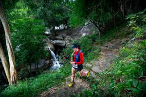 BIB: 
                            <button type="button" onclick="openModal(18617900)" class="btn btn-primary btn-sm float-right btn-popup" data-toggle="modal" data-target=".modal-high-quality">
                        <i class="fas fa-shopping-cart"></i> Add to Cart
                    </button>
                                            <button type="button" onclick="isThisMe(18617900, true)" class="btn btn-success btn-sm float-right btn-popup btn-isme hidden" data-toggle="tooltip" data-placement="bottom" title="นี่คือรูปของคุณใช่ไหม คลิกที่นี่เพื่อเอาเข้าอัลบั้ม">
                        <i class="fas fa-plus"></i> Add to album
                    </button>
                    <button type="button" onclick="isThisMe(18617900, false)" class="btn btn-warning btn-sm float-right btn-popup btn-isnotme hidden">
                        <i class="fas fa-ban"></i> Remove from album
                    </button>