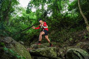 BIB: 
                            <button type="button" onclick="openModal(18530873)" class="btn btn-primary btn-sm float-right btn-popup" data-toggle="modal" data-target=".modal-high-quality">
                        <i class="fas fa-shopping-cart"></i> Add to Cart
                    </button>
                                            <button type="button" onclick="isThisMe(18530873, true)" class="btn btn-success btn-sm float-right btn-popup btn-isme hidden" data-toggle="tooltip" data-placement="bottom" title="นี่คือรูปของคุณใช่ไหม คลิกที่นี่เพื่อเอาเข้าอัลบั้ม">
                        <i class="fas fa-plus"></i> Add to album
                    </button>
                    <button type="button" onclick="isThisMe(18530873, false)" class="btn btn-warning btn-sm float-right btn-popup btn-isnotme hidden">
                        <i class="fas fa-ban"></i> Remove from album
                    </button>