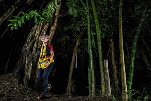 BIB: 
                            <button type="button" onclick="openModal(18530684)" class="btn btn-primary btn-sm float-right btn-popup" data-toggle="modal" data-target=".modal-high-quality">
                        <i class="fas fa-shopping-cart"></i> Add to Cart
                    </button>
                                            <button type="button" onclick="isThisMe(18530684, true)" class="btn btn-success btn-sm float-right btn-popup btn-isme hidden" data-toggle="tooltip" data-placement="bottom" title="นี่คือรูปของคุณใช่ไหม คลิกที่นี่เพื่อเอาเข้าอัลบั้ม">
                        <i class="fas fa-plus"></i> Add to album
                    </button>
                    <button type="button" onclick="isThisMe(18530684, false)" class="btn btn-warning btn-sm float-right btn-popup btn-isnotme hidden">
                        <i class="fas fa-ban"></i> Remove from album
                    </button>