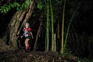 BIB: 
                            <button type="button" onclick="openModal(18530151)" class="btn btn-primary btn-sm float-right btn-popup" data-toggle="modal" data-target=".modal-high-quality">
                        <i class="fas fa-shopping-cart"></i> Add to Cart
                    </button>
                                            <button type="button" onclick="isThisMe(18530151, true)" class="btn btn-success btn-sm float-right btn-popup btn-isme hidden" data-toggle="tooltip" data-placement="bottom" title="นี่คือรูปของคุณใช่ไหม คลิกที่นี่เพื่อเอาเข้าอัลบั้ม">
                        <i class="fas fa-plus"></i> Add to album
                    </button>
                    <button type="button" onclick="isThisMe(18530151, false)" class="btn btn-warning btn-sm float-right btn-popup btn-isnotme hidden">
                        <i class="fas fa-ban"></i> Remove from album
                    </button>