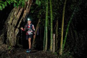 BIB: 
                            <button type="button" onclick="openModal(18530021)" class="btn btn-primary btn-sm float-right btn-popup" data-toggle="modal" data-target=".modal-high-quality">
                        <i class="fas fa-shopping-cart"></i> Add to Cart
                    </button>
                                            <button type="button" onclick="isThisMe(18530021, true)" class="btn btn-success btn-sm float-right btn-popup btn-isme hidden" data-toggle="tooltip" data-placement="bottom" title="นี่คือรูปของคุณใช่ไหม คลิกที่นี่เพื่อเอาเข้าอัลบั้ม">
                        <i class="fas fa-plus"></i> Add to album
                    </button>
                    <button type="button" onclick="isThisMe(18530021, false)" class="btn btn-warning btn-sm float-right btn-popup btn-isnotme hidden">
                        <i class="fas fa-ban"></i> Remove from album
                    </button>