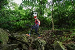 BIB: 
                            <button type="button" onclick="openModal(18532144)" class="btn btn-primary btn-sm float-right btn-popup" data-toggle="modal" data-target=".modal-high-quality">
                        <i class="fas fa-shopping-cart"></i> Add to Cart
                    </button>
                                            <button type="button" onclick="isThisMe(18532144, true)" class="btn btn-success btn-sm float-right btn-popup btn-isme hidden" data-toggle="tooltip" data-placement="bottom" title="นี่คือรูปของคุณใช่ไหม คลิกที่นี่เพื่อเอาเข้าอัลบั้ม">
                        <i class="fas fa-plus"></i> Add to album
                    </button>
                    <button type="button" onclick="isThisMe(18532144, false)" class="btn btn-warning btn-sm float-right btn-popup btn-isnotme hidden">
                        <i class="fas fa-ban"></i> Remove from album
                    </button>