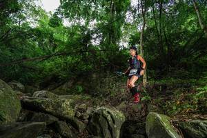 BIB: 
                            <button type="button" onclick="openModal(18531469)" class="btn btn-primary btn-sm float-right btn-popup" data-toggle="modal" data-target=".modal-high-quality">
                        <i class="fas fa-shopping-cart"></i> Add to Cart
                    </button>
                                            <button type="button" onclick="isThisMe(18531469, true)" class="btn btn-success btn-sm float-right btn-popup btn-isme hidden" data-toggle="tooltip" data-placement="bottom" title="นี่คือรูปของคุณใช่ไหม คลิกที่นี่เพื่อเอาเข้าอัลบั้ม">
                        <i class="fas fa-plus"></i> Add to album
                    </button>
                    <button type="button" onclick="isThisMe(18531469, false)" class="btn btn-warning btn-sm float-right btn-popup btn-isnotme hidden">
                        <i class="fas fa-ban"></i> Remove from album
                    </button>