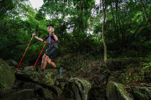 BIB: 
                            <button type="button" onclick="openModal(18531198)" class="btn btn-primary btn-sm float-right btn-popup" data-toggle="modal" data-target=".modal-high-quality">
                        <i class="fas fa-shopping-cart"></i> Add to Cart
                    </button>
                                            <button type="button" onclick="isThisMe(18531198, true)" class="btn btn-success btn-sm float-right btn-popup btn-isme hidden" data-toggle="tooltip" data-placement="bottom" title="นี่คือรูปของคุณใช่ไหม คลิกที่นี่เพื่อเอาเข้าอัลบั้ม">
                        <i class="fas fa-plus"></i> Add to album
                    </button>
                    <button type="button" onclick="isThisMe(18531198, false)" class="btn btn-warning btn-sm float-right btn-popup btn-isnotme hidden">
                        <i class="fas fa-ban"></i> Remove from album
                    </button>