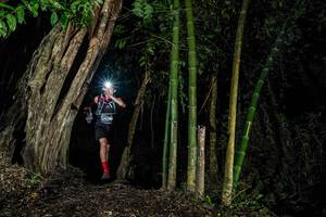 BIB: 
                            <button type="button" onclick="openModal(18530055)" class="btn btn-primary btn-sm float-right btn-popup" data-toggle="modal" data-target=".modal-high-quality">
                        <i class="fas fa-shopping-cart"></i> Add to Cart
                    </button>
                                            <button type="button" onclick="isThisMe(18530055, true)" class="btn btn-success btn-sm float-right btn-popup btn-isme hidden" data-toggle="tooltip" data-placement="bottom" title="นี่คือรูปของคุณใช่ไหม คลิกที่นี่เพื่อเอาเข้าอัลบั้ม">
                        <i class="fas fa-plus"></i> Add to album
                    </button>
                    <button type="button" onclick="isThisMe(18530055, false)" class="btn btn-warning btn-sm float-right btn-popup btn-isnotme hidden">
                        <i class="fas fa-ban"></i> Remove from album
                    </button>