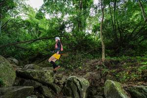 BIB: 
                            <button type="button" onclick="openModal(18532096)" class="btn btn-primary btn-sm float-right btn-popup" data-toggle="modal" data-target=".modal-high-quality">
                        <i class="fas fa-shopping-cart"></i> Add to Cart
                    </button>
                                            <button type="button" onclick="isThisMe(18532096, true)" class="btn btn-success btn-sm float-right btn-popup btn-isme hidden" data-toggle="tooltip" data-placement="bottom" title="นี่คือรูปของคุณใช่ไหม คลิกที่นี่เพื่อเอาเข้าอัลบั้ม">
                        <i class="fas fa-plus"></i> Add to album
                    </button>
                    <button type="button" onclick="isThisMe(18532096, false)" class="btn btn-warning btn-sm float-right btn-popup btn-isnotme hidden">
                        <i class="fas fa-ban"></i> Remove from album
                    </button>