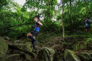 BIB: 
                            <button type="button" onclick="openModal(18531025)" class="btn btn-primary btn-sm float-right btn-popup" data-toggle="modal" data-target=".modal-high-quality">
                        <i class="fas fa-shopping-cart"></i> Add to Cart
                    </button>
                                            <button type="button" onclick="isThisMe(18531025, true)" class="btn btn-success btn-sm float-right btn-popup btn-isme hidden" data-toggle="tooltip" data-placement="bottom" title="นี่คือรูปของคุณใช่ไหม คลิกที่นี่เพื่อเอาเข้าอัลบั้ม">
                        <i class="fas fa-plus"></i> Add to album
                    </button>
                    <button type="button" onclick="isThisMe(18531025, false)" class="btn btn-warning btn-sm float-right btn-popup btn-isnotme hidden">
                        <i class="fas fa-ban"></i> Remove from album
                    </button>