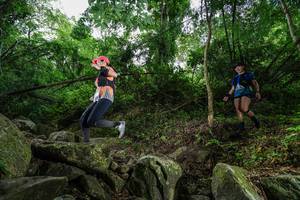 BIB: 
                            <button type="button" onclick="openModal(18531784)" class="btn btn-primary btn-sm float-right btn-popup" data-toggle="modal" data-target=".modal-high-quality">
                        <i class="fas fa-shopping-cart"></i> Add to Cart
                    </button>
                                            <button type="button" onclick="isThisMe(18531784, true)" class="btn btn-success btn-sm float-right btn-popup btn-isme hidden" data-toggle="tooltip" data-placement="bottom" title="นี่คือรูปของคุณใช่ไหม คลิกที่นี่เพื่อเอาเข้าอัลบั้ม">
                        <i class="fas fa-plus"></i> Add to album
                    </button>
                    <button type="button" onclick="isThisMe(18531784, false)" class="btn btn-warning btn-sm float-right btn-popup btn-isnotme hidden">
                        <i class="fas fa-ban"></i> Remove from album
                    </button>