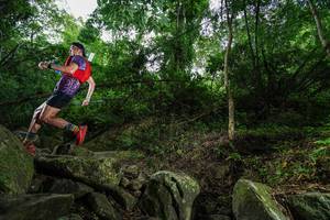 BIB: 
                            <button type="button" onclick="openModal(18531667)" class="btn btn-primary btn-sm float-right btn-popup" data-toggle="modal" data-target=".modal-high-quality">
                        <i class="fas fa-shopping-cart"></i> Add to Cart
                    </button>
                                            <button type="button" onclick="isThisMe(18531667, true)" class="btn btn-success btn-sm float-right btn-popup btn-isme hidden" data-toggle="tooltip" data-placement="bottom" title="นี่คือรูปของคุณใช่ไหม คลิกที่นี่เพื่อเอาเข้าอัลบั้ม">
                        <i class="fas fa-plus"></i> Add to album
                    </button>
                    <button type="button" onclick="isThisMe(18531667, false)" class="btn btn-warning btn-sm float-right btn-popup btn-isnotme hidden">
                        <i class="fas fa-ban"></i> Remove from album
                    </button>