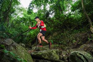 BIB: 
                            <button type="button" onclick="openModal(18530874)" class="btn btn-primary btn-sm float-right btn-popup" data-toggle="modal" data-target=".modal-high-quality">
                        <i class="fas fa-shopping-cart"></i> Add to Cart
                    </button>
                                            <button type="button" onclick="isThisMe(18530874, true)" class="btn btn-success btn-sm float-right btn-popup btn-isme hidden" data-toggle="tooltip" data-placement="bottom" title="นี่คือรูปของคุณใช่ไหม คลิกที่นี่เพื่อเอาเข้าอัลบั้ม">
                        <i class="fas fa-plus"></i> Add to album
                    </button>
                    <button type="button" onclick="isThisMe(18530874, false)" class="btn btn-warning btn-sm float-right btn-popup btn-isnotme hidden">
                        <i class="fas fa-ban"></i> Remove from album
                    </button>