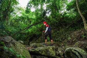 BIB: 
                            <button type="button" onclick="openModal(18530883)" class="btn btn-primary btn-sm float-right btn-popup" data-toggle="modal" data-target=".modal-high-quality">
                        <i class="fas fa-shopping-cart"></i> Add to Cart
                    </button>
                                            <button type="button" onclick="isThisMe(18530883, true)" class="btn btn-success btn-sm float-right btn-popup btn-isme hidden" data-toggle="tooltip" data-placement="bottom" title="นี่คือรูปของคุณใช่ไหม คลิกที่นี่เพื่อเอาเข้าอัลบั้ม">
                        <i class="fas fa-plus"></i> Add to album
                    </button>
                    <button type="button" onclick="isThisMe(18530883, false)" class="btn btn-warning btn-sm float-right btn-popup btn-isnotme hidden">
                        <i class="fas fa-ban"></i> Remove from album
                    </button>