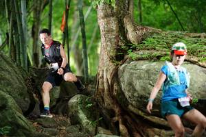 BIB: 
                            <button type="button" onclick="openModal(18501736)" class="btn btn-primary btn-sm float-right btn-popup" data-toggle="modal" data-target=".modal-high-quality">
                        <i class="fas fa-shopping-cart"></i> Add to Cart
                    </button>
                                            <button type="button" onclick="isThisMe(18501736, true)" class="btn btn-success btn-sm float-right btn-popup btn-isme hidden" data-toggle="tooltip" data-placement="bottom" title="นี่คือรูปของคุณใช่ไหม คลิกที่นี่เพื่อเอาเข้าอัลบั้ม">
                        <i class="fas fa-plus"></i> Add to album
                    </button>
                    <button type="button" onclick="isThisMe(18501736, false)" class="btn btn-warning btn-sm float-right btn-popup btn-isnotme hidden">
                        <i class="fas fa-ban"></i> Remove from album
                    </button>