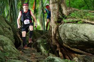 BIB: 
                            <button type="button" onclick="openModal(18501724)" class="btn btn-primary btn-sm float-right btn-popup" data-toggle="modal" data-target=".modal-high-quality">
                        <i class="fas fa-shopping-cart"></i> Add to Cart
                    </button>
                                            <button type="button" onclick="isThisMe(18501724, true)" class="btn btn-success btn-sm float-right btn-popup btn-isme hidden" data-toggle="tooltip" data-placement="bottom" title="นี่คือรูปของคุณใช่ไหม คลิกที่นี่เพื่อเอาเข้าอัลบั้ม">
                        <i class="fas fa-plus"></i> Add to album
                    </button>
                    <button type="button" onclick="isThisMe(18501724, false)" class="btn btn-warning btn-sm float-right btn-popup btn-isnotme hidden">
                        <i class="fas fa-ban"></i> Remove from album
                    </button>