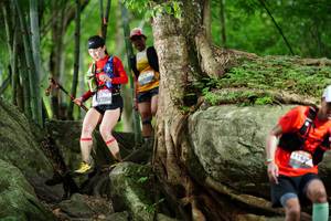 BIB: 
                            <button type="button" onclick="openModal(18501750)" class="btn btn-primary btn-sm float-right btn-popup" data-toggle="modal" data-target=".modal-high-quality">
                        <i class="fas fa-shopping-cart"></i> Add to Cart
                    </button>
                                            <button type="button" onclick="isThisMe(18501750, true)" class="btn btn-success btn-sm float-right btn-popup btn-isme hidden" data-toggle="tooltip" data-placement="bottom" title="นี่คือรูปของคุณใช่ไหม คลิกที่นี่เพื่อเอาเข้าอัลบั้ม">
                        <i class="fas fa-plus"></i> Add to album
                    </button>
                    <button type="button" onclick="isThisMe(18501750, false)" class="btn btn-warning btn-sm float-right btn-popup btn-isnotme hidden">
                        <i class="fas fa-ban"></i> Remove from album
                    </button>