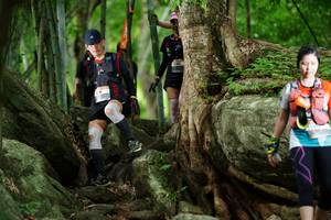 BIB: 
                            <button type="button" onclick="openModal(18493220)" class="btn btn-primary btn-sm float-right btn-popup" data-toggle="modal" data-target=".modal-high-quality">
                        <i class="fas fa-shopping-cart"></i> Add to Cart
                    </button>
                                            <button type="button" onclick="isThisMe(18493220, true)" class="btn btn-success btn-sm float-right btn-popup btn-isme hidden" data-toggle="tooltip" data-placement="bottom" title="นี่คือรูปของคุณใช่ไหม คลิกที่นี่เพื่อเอาเข้าอัลบั้ม">
                        <i class="fas fa-plus"></i> Add to album
                    </button>
                    <button type="button" onclick="isThisMe(18493220, false)" class="btn btn-warning btn-sm float-right btn-popup btn-isnotme hidden">
                        <i class="fas fa-ban"></i> Remove from album
                    </button>