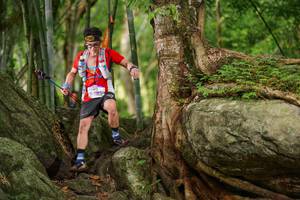 BIB: 
                            <button type="button" onclick="openModal(18502893)" class="btn btn-primary btn-sm float-right btn-popup" data-toggle="modal" data-target=".modal-high-quality">
                        <i class="fas fa-shopping-cart"></i> Add to Cart
                    </button>
                                            <button type="button" onclick="isThisMe(18502893, true)" class="btn btn-success btn-sm float-right btn-popup btn-isme hidden" data-toggle="tooltip" data-placement="bottom" title="นี่คือรูปของคุณใช่ไหม คลิกที่นี่เพื่อเอาเข้าอัลบั้ม">
                        <i class="fas fa-plus"></i> Add to album
                    </button>
                    <button type="button" onclick="isThisMe(18502893, false)" class="btn btn-warning btn-sm float-right btn-popup btn-isnotme hidden">
                        <i class="fas fa-ban"></i> Remove from album
                    </button>