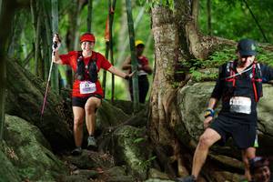 BIB: 
                            <button type="button" onclick="openModal(18493461)" class="btn btn-primary btn-sm float-right btn-popup" data-toggle="modal" data-target=".modal-high-quality">
                        <i class="fas fa-shopping-cart"></i> Add to Cart
                    </button>
                                            <button type="button" onclick="isThisMe(18493461, true)" class="btn btn-success btn-sm float-right btn-popup btn-isme hidden" data-toggle="tooltip" data-placement="bottom" title="นี่คือรูปของคุณใช่ไหม คลิกที่นี่เพื่อเอาเข้าอัลบั้ม">
                        <i class="fas fa-plus"></i> Add to album
                    </button>
                    <button type="button" onclick="isThisMe(18493461, false)" class="btn btn-warning btn-sm float-right btn-popup btn-isnotme hidden">
                        <i class="fas fa-ban"></i> Remove from album
                    </button>