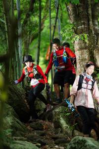 BIB: 
                            <button type="button" onclick="openModal(18501620)" class="btn btn-primary btn-sm float-right btn-popup" data-toggle="modal" data-target=".modal-high-quality">
                        <i class="fas fa-shopping-cart"></i> Add to Cart
                    </button>
                                            <button type="button" onclick="isThisMe(18501620, true)" class="btn btn-success btn-sm float-right btn-popup btn-isme hidden" data-toggle="tooltip" data-placement="bottom" title="นี่คือรูปของคุณใช่ไหม คลิกที่นี่เพื่อเอาเข้าอัลบั้ม">
                        <i class="fas fa-plus"></i> Add to album
                    </button>
                    <button type="button" onclick="isThisMe(18501620, false)" class="btn btn-warning btn-sm float-right btn-popup btn-isnotme hidden">
                        <i class="fas fa-ban"></i> Remove from album
                    </button>