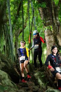 BIB: 
                            <button type="button" onclick="openModal(18497344)" class="btn btn-primary btn-sm float-right btn-popup" data-toggle="modal" data-target=".modal-high-quality">
                        <i class="fas fa-shopping-cart"></i> Add to Cart
                    </button>
                                            <button type="button" onclick="isThisMe(18497344, true)" class="btn btn-success btn-sm float-right btn-popup btn-isme hidden" data-toggle="tooltip" data-placement="bottom" title="นี่คือรูปของคุณใช่ไหม คลิกที่นี่เพื่อเอาเข้าอัลบั้ม">
                        <i class="fas fa-plus"></i> Add to album
                    </button>
                    <button type="button" onclick="isThisMe(18497344, false)" class="btn btn-warning btn-sm float-right btn-popup btn-isnotme hidden">
                        <i class="fas fa-ban"></i> Remove from album
                    </button>