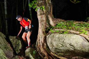 BIB: 
                            <button type="button" onclick="openModal(18502180)" class="btn btn-primary btn-sm float-right btn-popup" data-toggle="modal" data-target=".modal-high-quality">
                        <i class="fas fa-shopping-cart"></i> Add to Cart
                    </button>
                                            <button type="button" onclick="isThisMe(18502180, true)" class="btn btn-success btn-sm float-right btn-popup btn-isme hidden" data-toggle="tooltip" data-placement="bottom" title="นี่คือรูปของคุณใช่ไหม คลิกที่นี่เพื่อเอาเข้าอัลบั้ม">
                        <i class="fas fa-plus"></i> Add to album
                    </button>
                    <button type="button" onclick="isThisMe(18502180, false)" class="btn btn-warning btn-sm float-right btn-popup btn-isnotme hidden">
                        <i class="fas fa-ban"></i> Remove from album
                    </button>