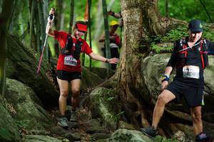 BIB: 
                            <button type="button" onclick="openModal(18493470)" class="btn btn-primary btn-sm float-right btn-popup" data-toggle="modal" data-target=".modal-high-quality">
                        <i class="fas fa-shopping-cart"></i> Add to Cart
                    </button>
                                            <button type="button" onclick="isThisMe(18493470, true)" class="btn btn-success btn-sm float-right btn-popup btn-isme hidden" data-toggle="tooltip" data-placement="bottom" title="นี่คือรูปของคุณใช่ไหม คลิกที่นี่เพื่อเอาเข้าอัลบั้ม">
                        <i class="fas fa-plus"></i> Add to album
                    </button>
                    <button type="button" onclick="isThisMe(18493470, false)" class="btn btn-warning btn-sm float-right btn-popup btn-isnotme hidden">
                        <i class="fas fa-ban"></i> Remove from album
                    </button>